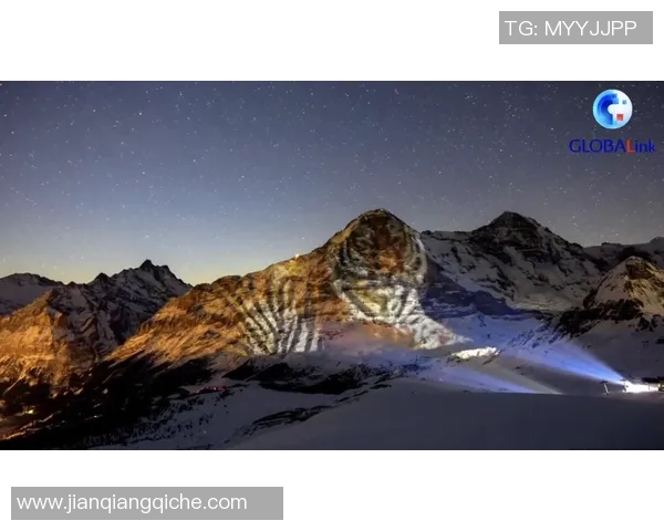 坎培拉奥林匹克与老虎队激战正酣谁能在这场较量中笑到最后