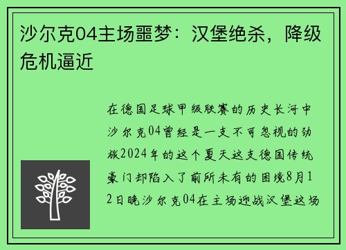 沙尔克04主场噩梦：汉堡绝杀，降级危机逼近
